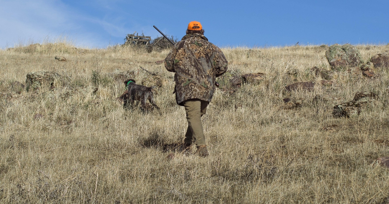 Jaunajai medību sezonai karti līdz marta beigām saņēmu&scaron;i 4319 mednieki