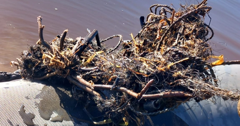 Līvānu novadā izņem nelikumīgus zvejas tīklus