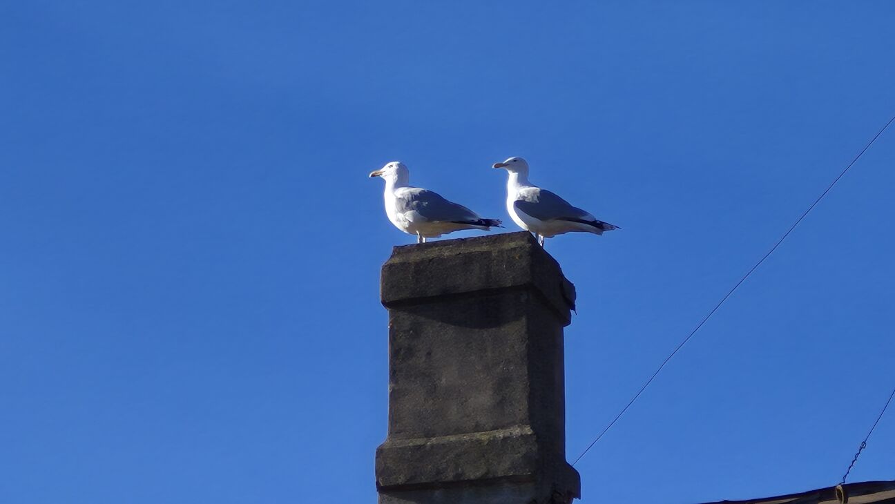 Latvijā gaidāms straujš temperatūras lēciens
