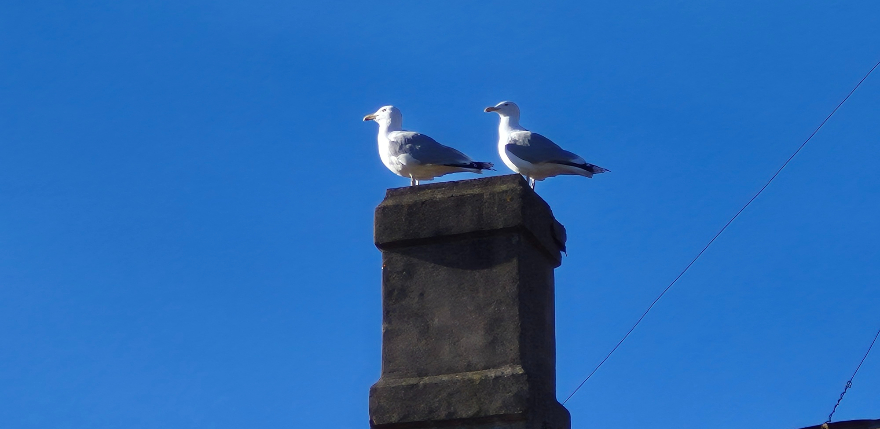 Latvijā gaidāms strauj&scaron; temperatūras lēciens