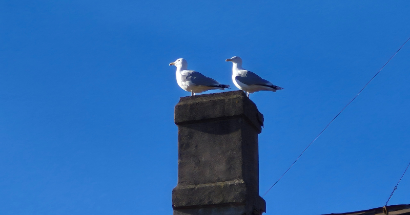 Latvijā gaidāms strauj&scaron; temperatūras lēciens