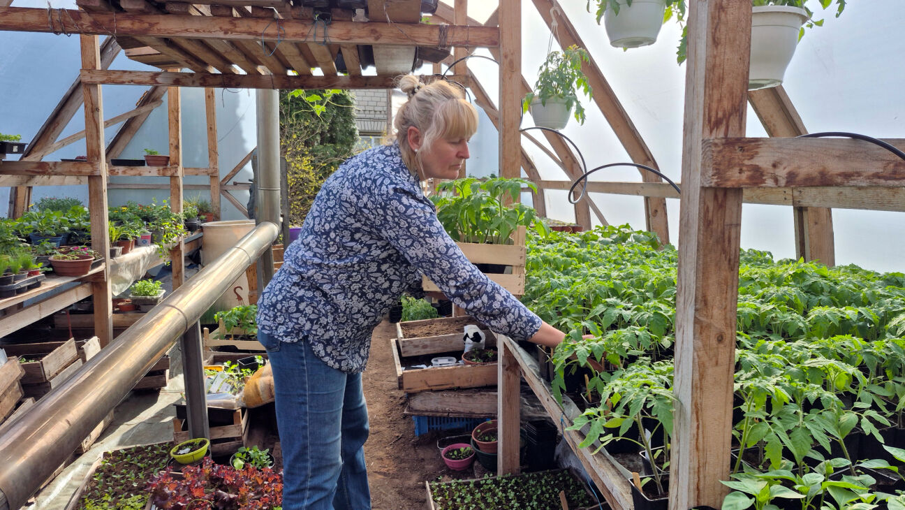 Kā saudzēt veselību dārza darbos – pieredzē dalās Rudīte no Salas