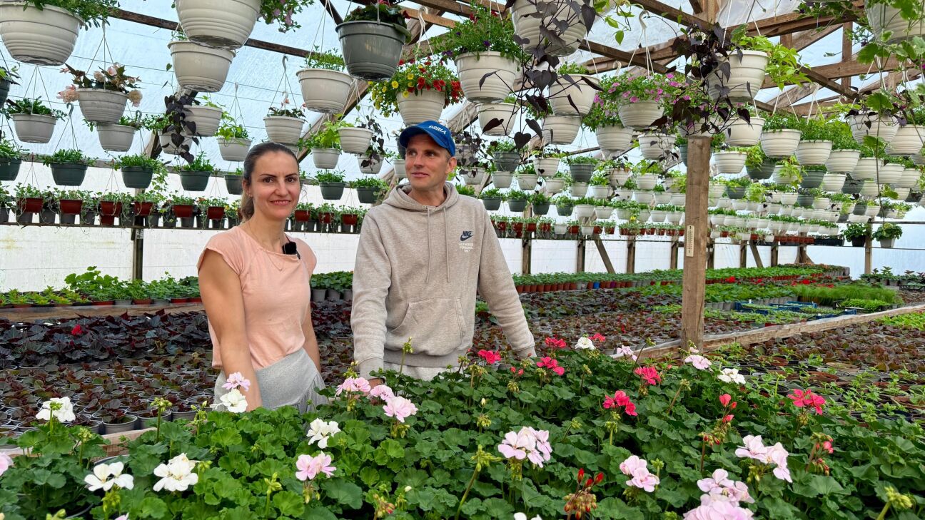 Saimnieki laukos – Kazakeviči no Seces gan audzē augus, gan stiprina novadu