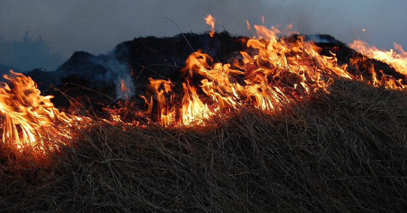 Aizkraukles novadā dzē&scaron; ugunsgrēku saimniecības ēkā un kūlas liesmas