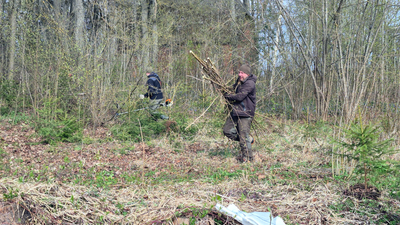 Līvānu novadā Lielās Talkas dienā sakopj 20 teritorijas
