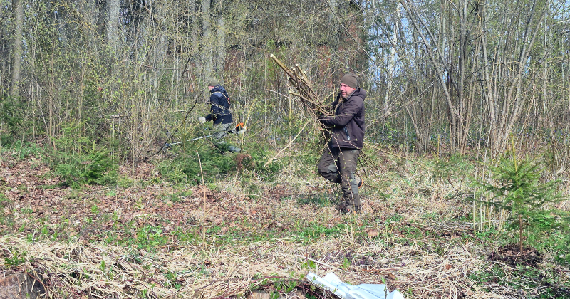 Līvānu novadā Lielās Talkas dienā sakopj 20 teritorijas